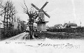 Reenenw-1906-001